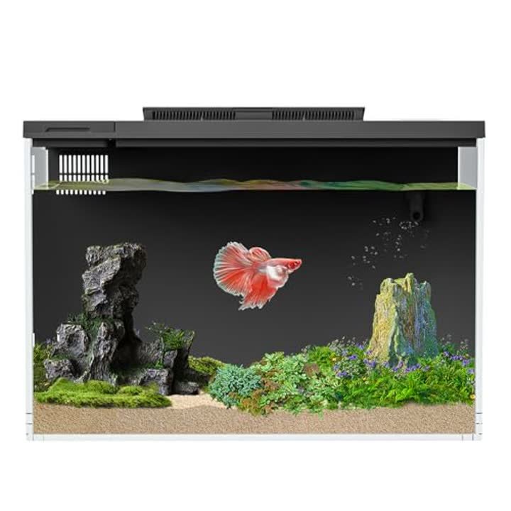 ERAARK 4 Gallon Betta Fish Tank