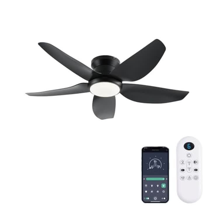 GJeg Ceiling Fans with Lights
